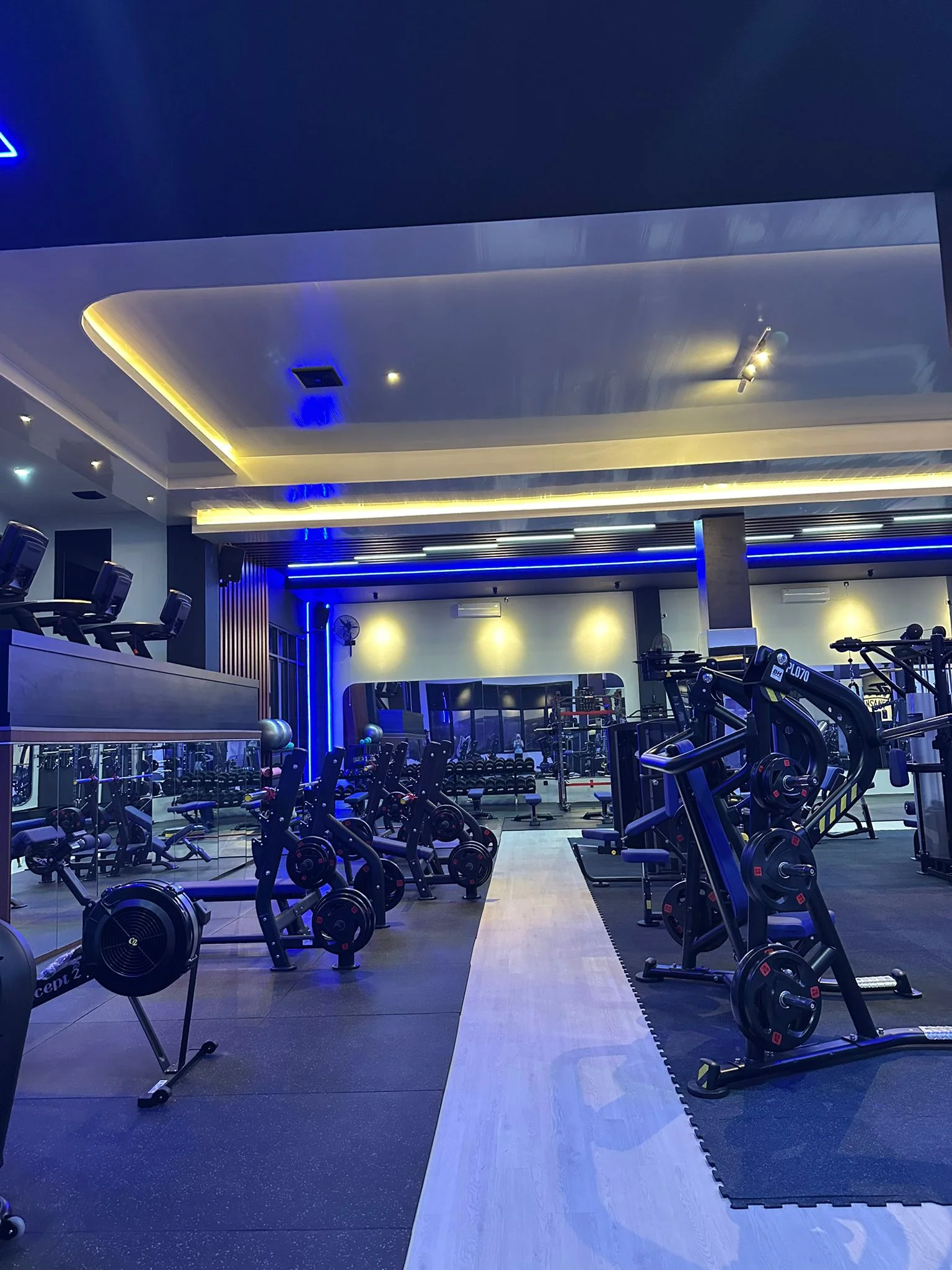 Main Gym Floor